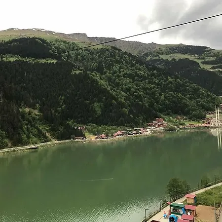Inci Uzungol