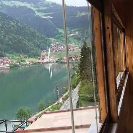 Inci